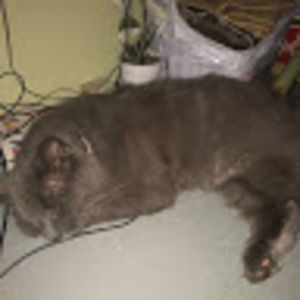 Meet your Posher, Charmaine